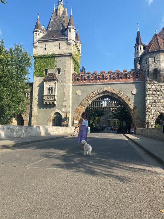 Vajdahunyad Castle