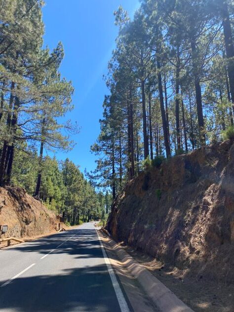 διαδρομή για Τέιδε/route to volcano Teide