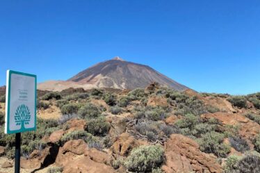 ηφαίστειο Τέιδε/ volcano Teide