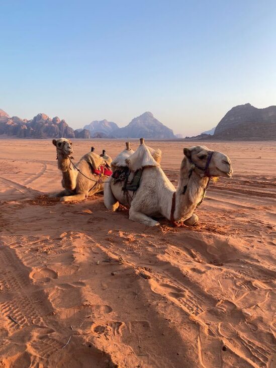 Wadi Rum Jordan/ έρημος Ιορδανία