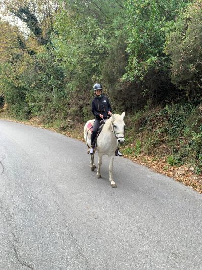 Περιήγηση με άλογα Μηλιές Πηλίου/Horse riding tour Milies Pelion