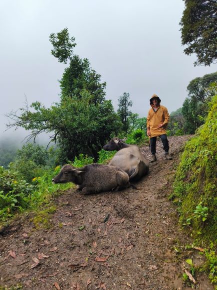 Ghorepani trek nepal/ Νεπάλ