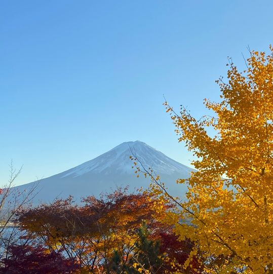 mountain Fuji