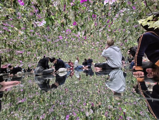 TeamLab planets Tokyo