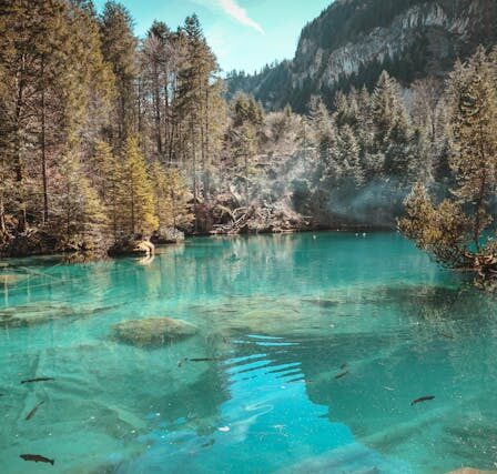 Road Trip Switzerland