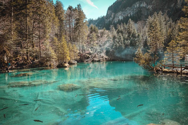 Road Trip Switzerland